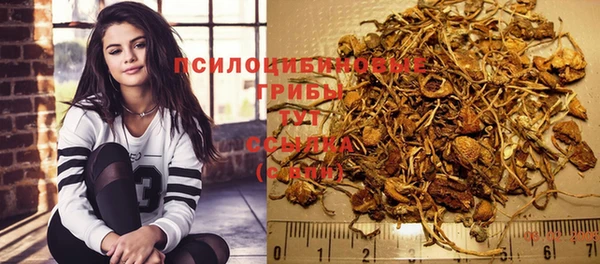 гидропоника Белоозёрский