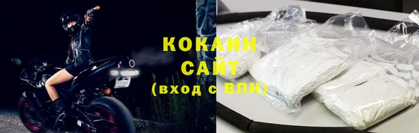 соль ск Белокуриха