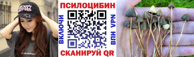наркошоп  Покровск  даркнет наркотические препараты  Псилоцибиновые грибы мухоморы 